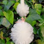 IMG_20250315_185347