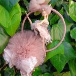 IMG_20250315_185649