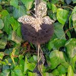 IMG_20250315_191354